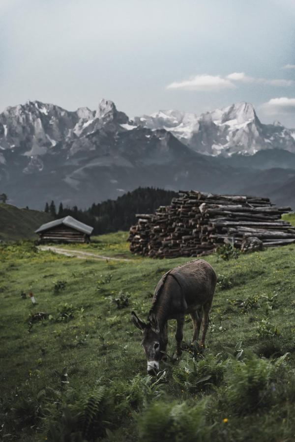 Gaestehaus Eder Sankt Martin am Tennengebirge Buitenkant foto