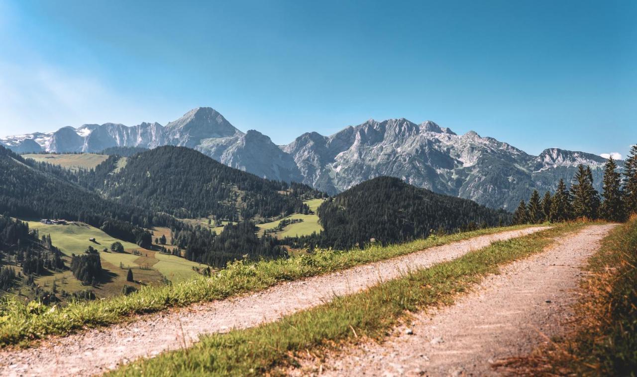 Gaestehaus Eder Sankt Martin am Tennengebirge Buitenkant foto